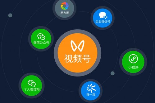 煜晨营销洞察 2024年互联网品牌营销与销售的四大融合趋势